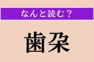 【難読漢字】「歯朶」正しい読み方は？ 植物です