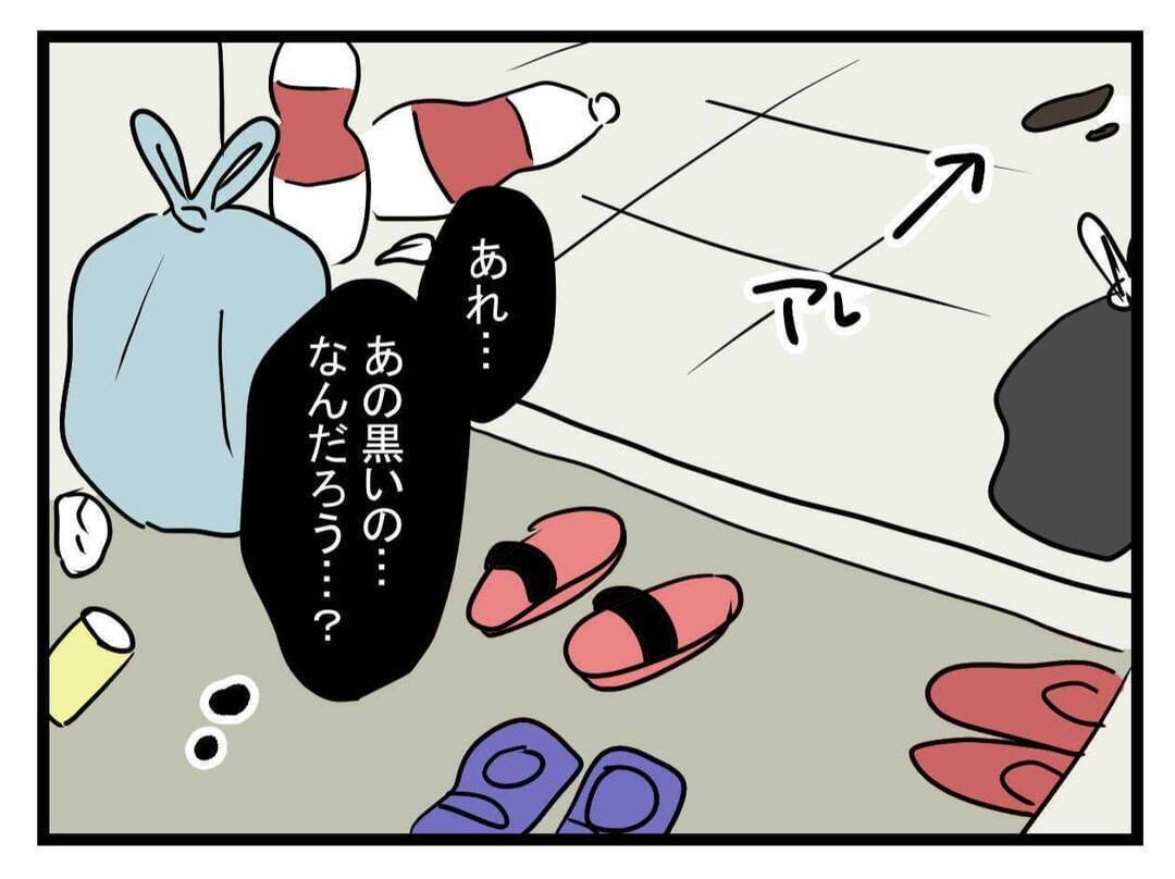 【漫画】「都会のお嬢様ね」思わず声を上げる！さらに床に黒い物が…【恐怖の義実家1泊2日 Vol.6】