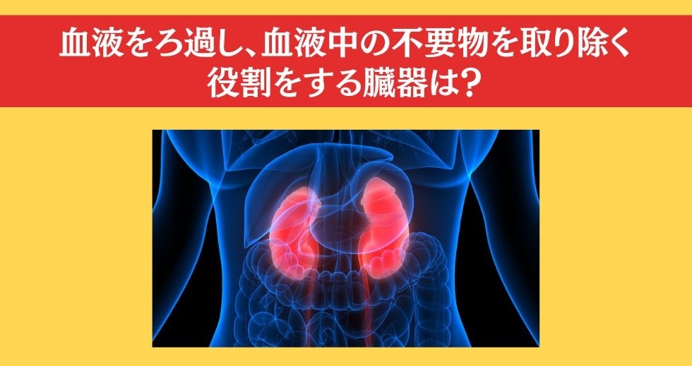 大人ならわかる？ 小学校の「理科」問題＜Vol.78＞