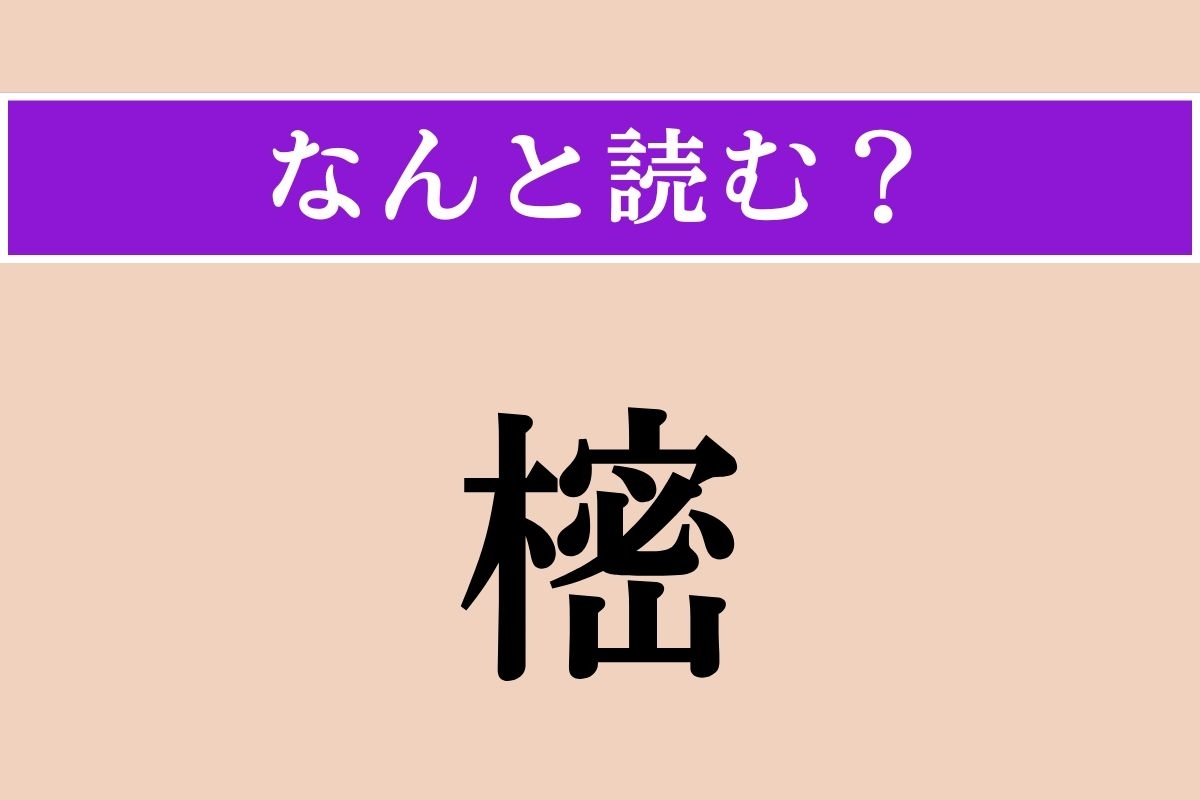 【難読漢字】「樒」正しい読み方は？ 仏壇やお墓に供えたり、葬儀の祭壇に飾る植物です