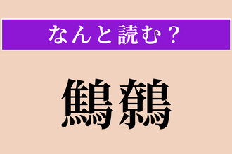 【難読漢字】「鷦鷯」正しい読み方は？ 小さな体で大きな声で鳴く鳥です
