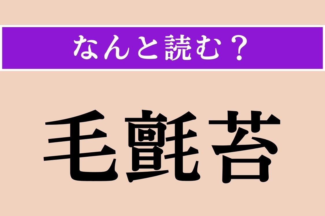 【難読漢字】「毛氈苔」正しい読み方は？ パクッ！ 食虫植物です