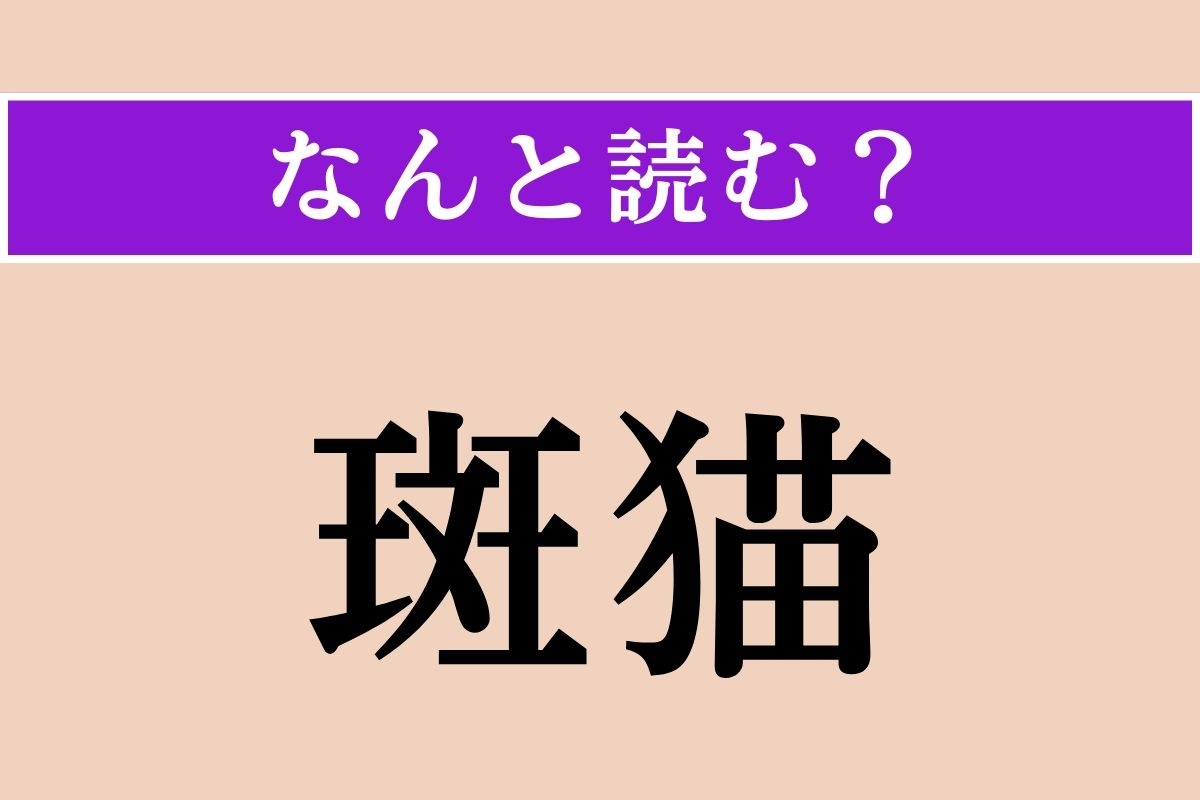 【難読漢字】「斑猫」正しい読み方は？ 昆虫です。都市部の公園などにも生息しているそう