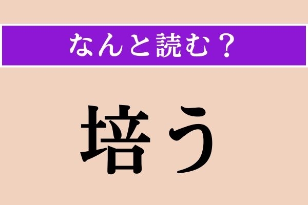 【難読漢字】「培う」正しい読み方は？「そだてる」という意味です
