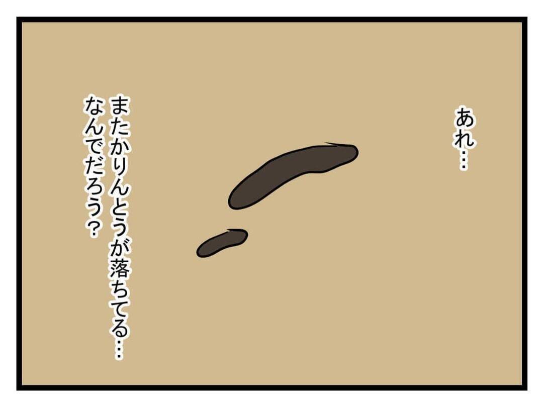 【漫画】床のところどころに落ちているかりんとう…正体が判明【恐怖の義実家1泊2日 Vol.20】