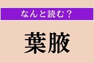 【難読漢字】「葉腋」正しい読み方は？ 植物の一部分です
