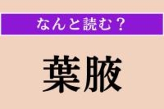 【難読漢字】「葉腋」正しい読み方は？ 植物の一部分です
