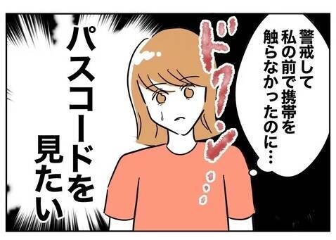 夫の「家事やったアピール」も笑顔でやり過ごし…ついに浮気の証拠を掴むチャンスが！