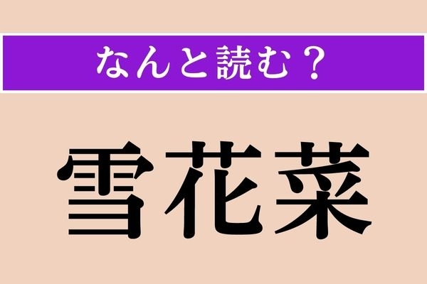 【難読漢字】「雪花菜」正しい読み方は？「雪」は色を表している？