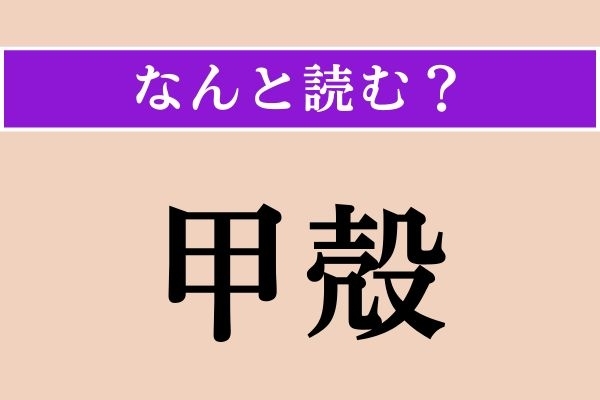 【難読漢字】「甲殻」正しい読み方は？「殻」って「から」って読むんじゃないの!?