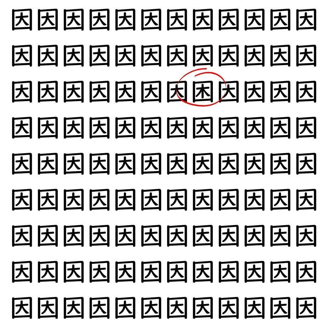 【漢字探し】ずらっと並んだ「因」の中にまぎれた別の漢字一文字は？