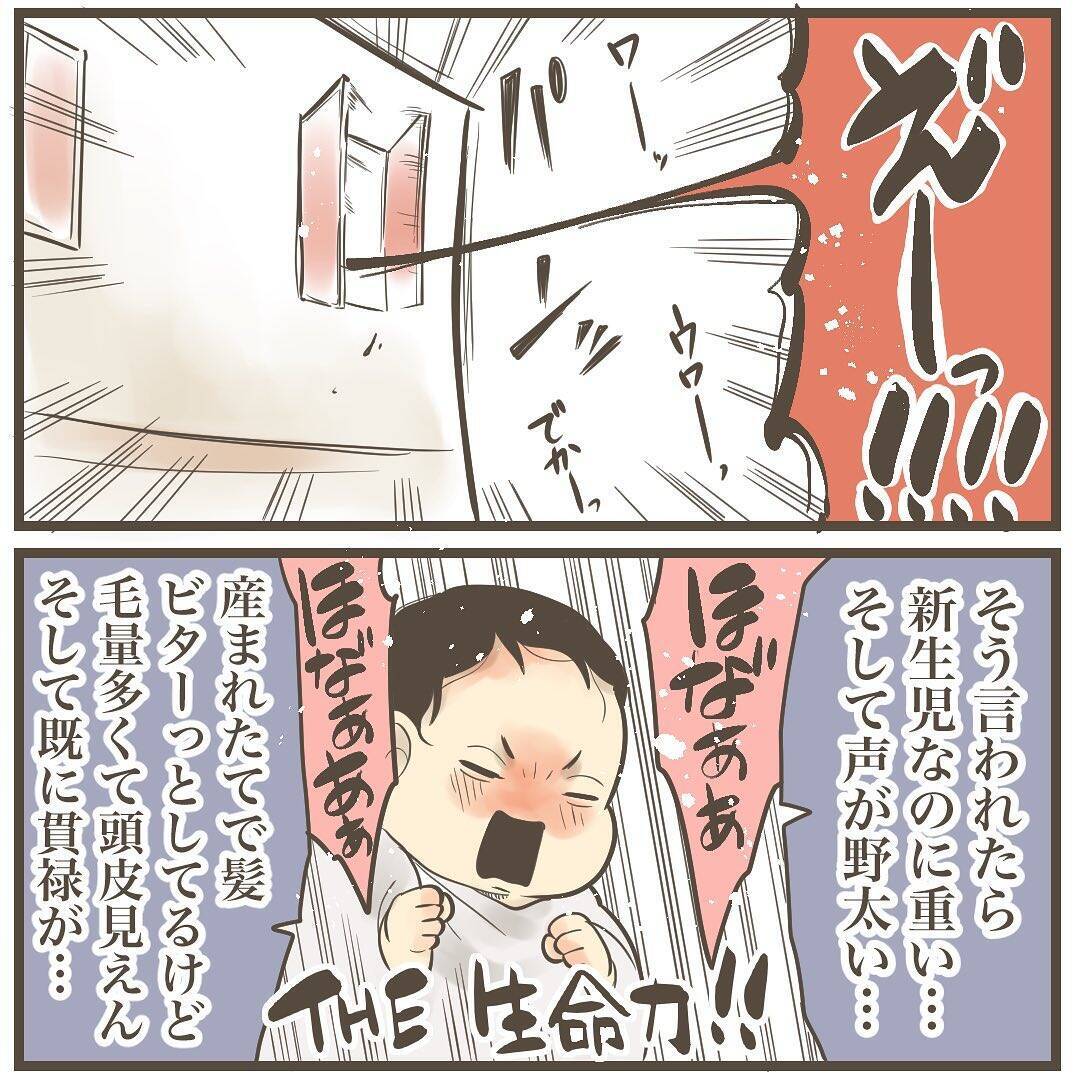 紛れもない巨大児！ 4452gのビッグベビーが誕生