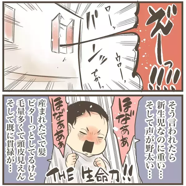 「紛れもない巨大児！ 4452gのビッグベビーが誕生」の画像