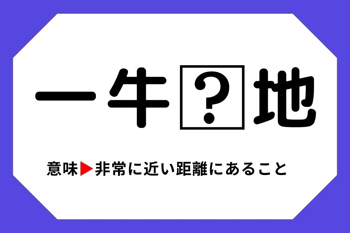 【四字熟語クイズ】「一牛□地」□に入る漢字は？＜Vol.71＞
