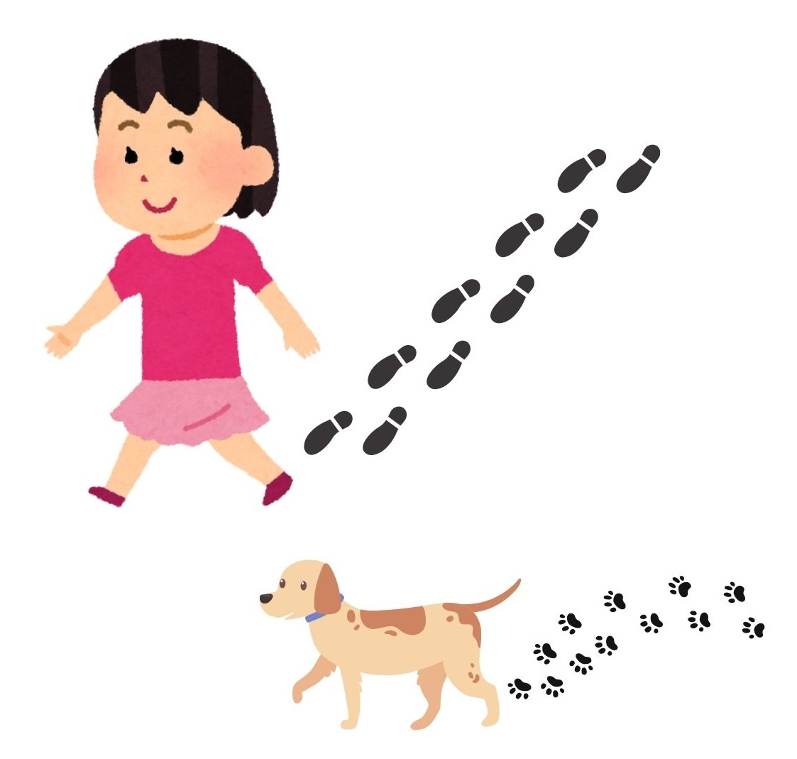 【ぐるぐる迷路 Vol.46】行き止まりを回避してゴールを目指せ！＜知育・脳トレ＞