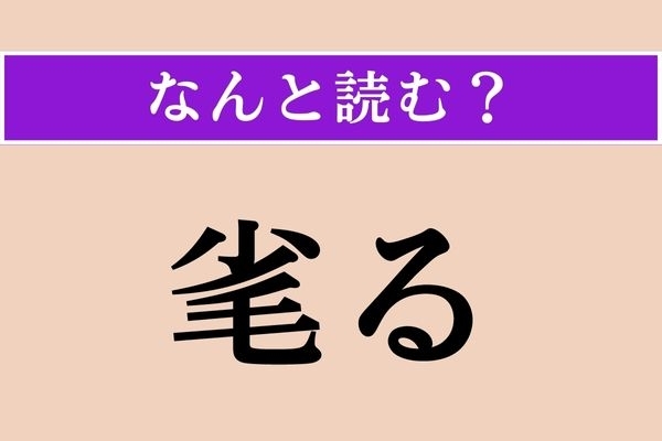 【難読漢字】「毟る」正しい読み方は？「毛」に関係がありそう？