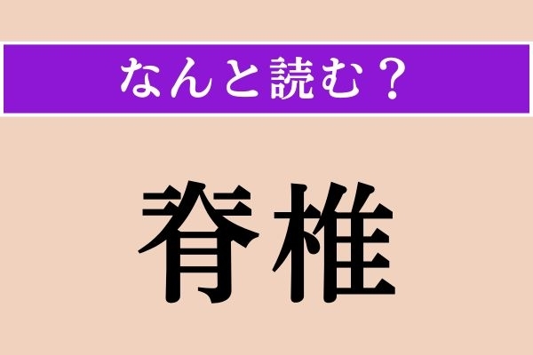 【難読漢字】「脊椎」正しい読み方は？ 身体のある部分のことです