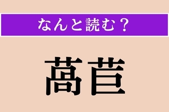 【難読漢字】「萵苣」正しい読み方は？「レタス」の和名です