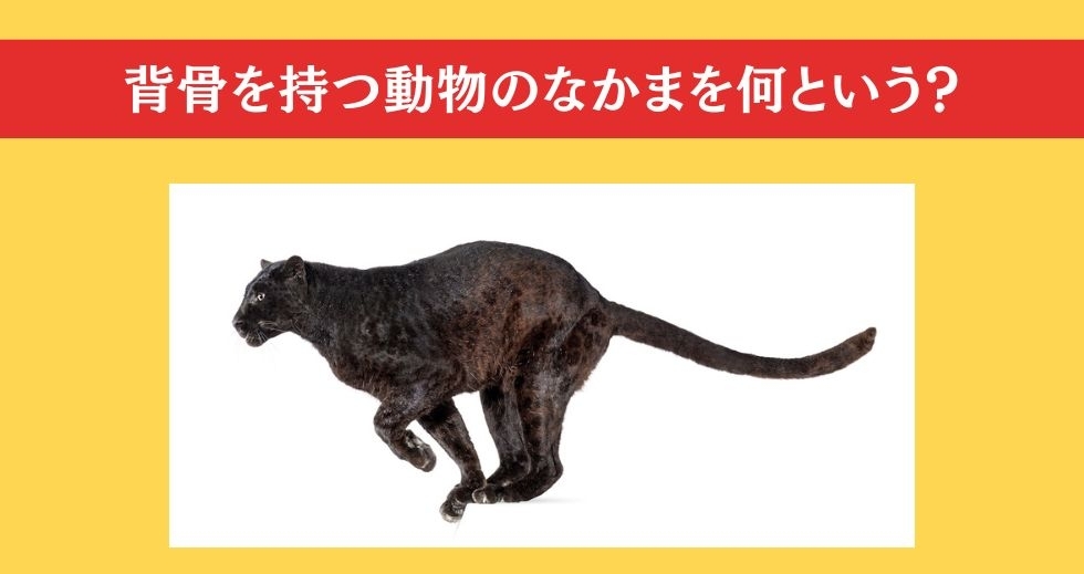 大人ならわかる？ 小学校の「理科」問題＜Vol.58＞