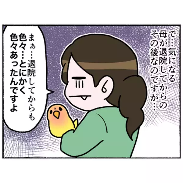 「【漫画】4年後…一家に最大の事件！ 借金地獄に陥り母の容体は不安定に【母とうつと私。 Vol.90】」の画像