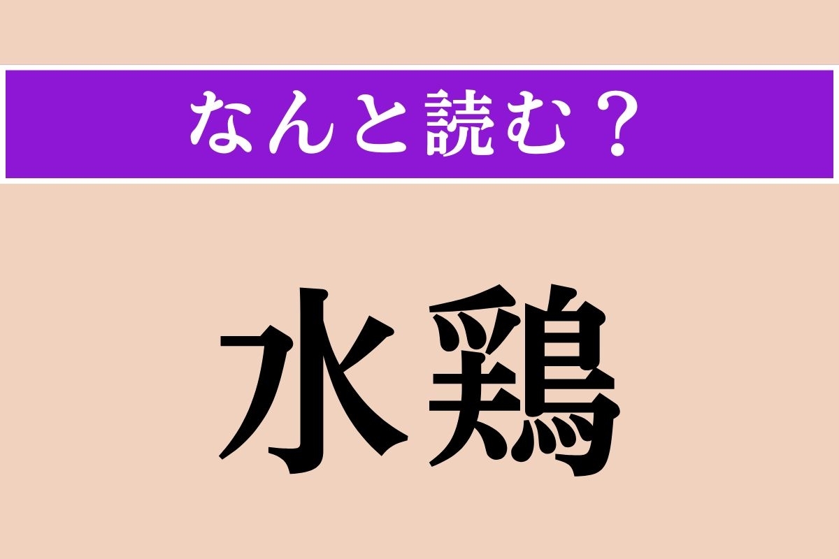 【難読漢字】「水鶏」正しい読み方は？ どの鳥でしょうか？