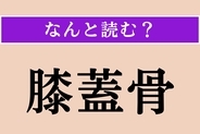 【難読漢字】「膝蓋骨」正しい読み方は？ 膝のお皿のことです