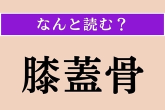 【難読漢字】「膝蓋骨」正しい読み方は？ 膝のお皿のことです