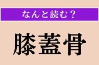 【難読漢字】「膝蓋骨」正しい読み方は？ 膝のお皿のことです