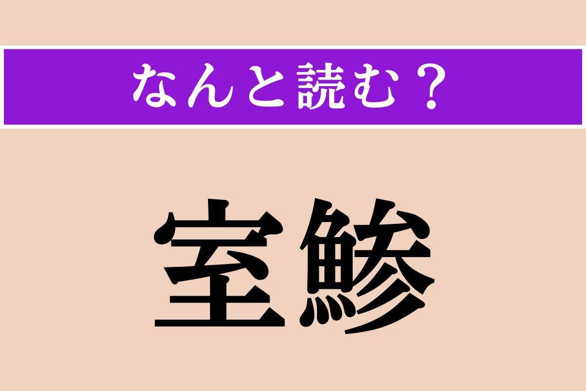 【難読漢字】「室鯵」正しい読み方は？ どの魚でしょうか？