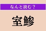 【難読漢字】「室鯵」正しい読み方は？ どの魚でしょうか？