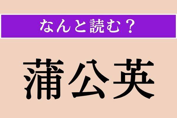 【難読漢字】「蒲公英」正しい読み方は？ 黄色い花を咲かせます