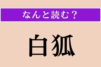 【難読漢字】「白狐」正しい読み方は？ 稲荷神の使いとして信仰されています