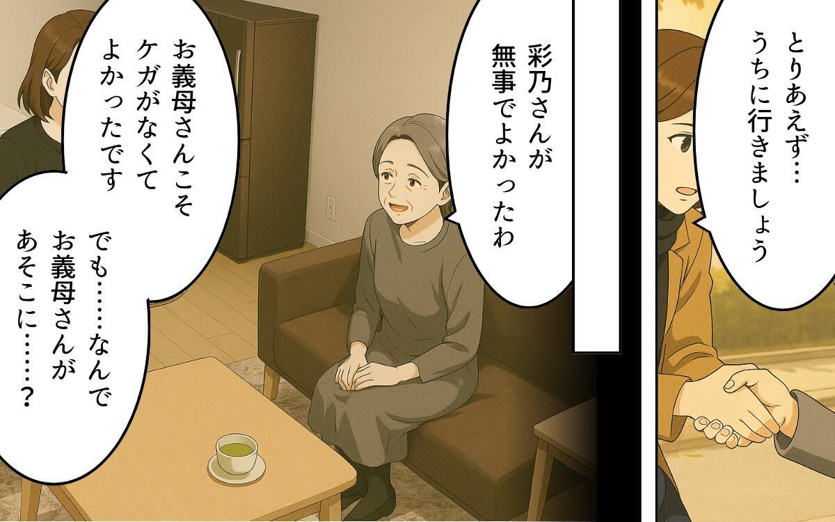 「うちの嫁に何してんのよ！」ひったくりから嫁を救った義母の一喝