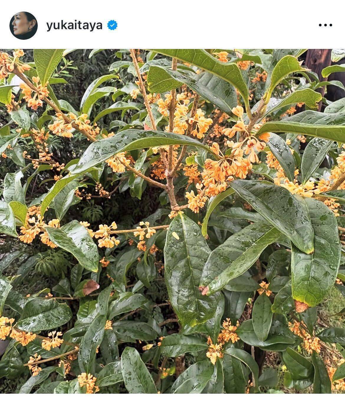 板谷由夏、年下から刺激「人は楽しい。人はおもしろい」