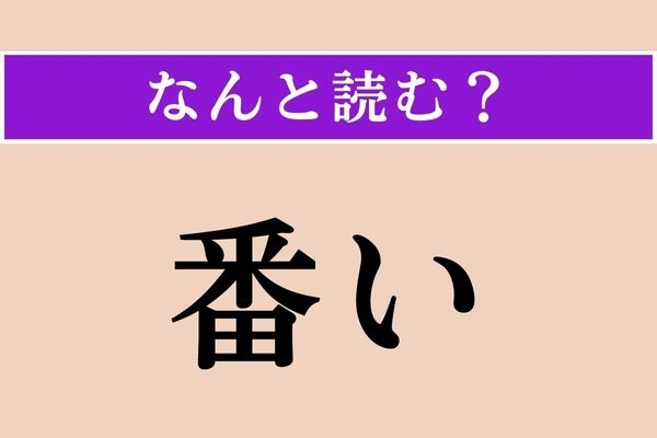 【難読漢字】「番い」正しい読み方は？ 二つのものに対して言う言葉です