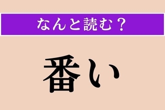 【難読漢字】「番い」正しい読み方は？ 二つのものに対して言う言葉です
