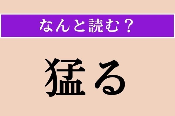 【難読漢字】「猛る」正しい読み方は？ 激しく荒れる様子のことです