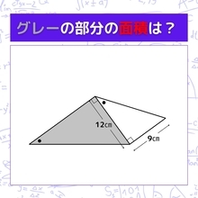 【図形問題】グレーの部分の面積を求めよ！＜Vol.726＞