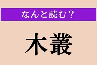 【難読漢字】「木叢」正しい読み方は？ 木が集まって茂っている所のことです