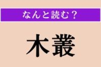 【難読漢字】「木叢」正しい読み方は？ 木が集まって茂っている所のことです