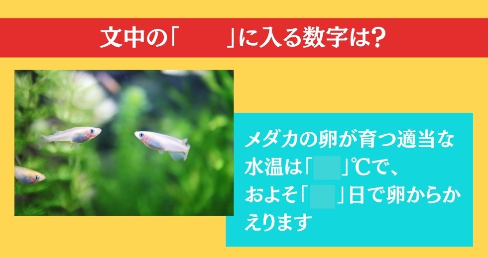 大人ならわかる？ 小学校の「理科」問題＜Vol.33＞