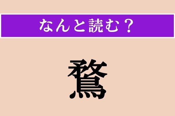 【難読漢字】「鶩」正しい読み方は？ どの鳥だろう…？