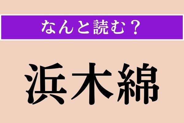 【難読漢字】「浜木綿」正しい読み方は？「木綿豆腐」の「木綿」ですが、「もめん」とは読みません