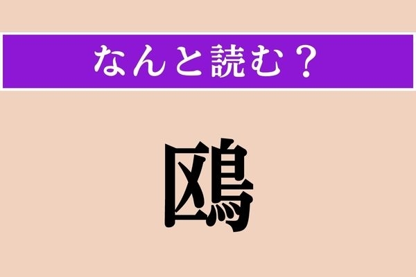 【難読漢字】「鴎」正しい読み方は？ どの鳥だろう…