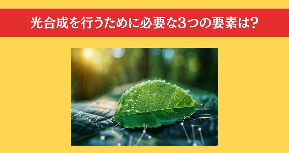 大人ならわかる？ 小学校の「理科」問題＜Vol.72＞