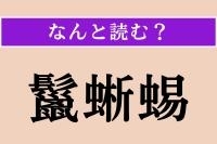 【難読漢字】「鬣蜥蜴」正しい読み方は？「立髪竜」とも書きます