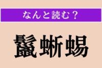 【難読漢字】「鬣蜥蜴」正しい読み方は？「立髪竜」とも書きます