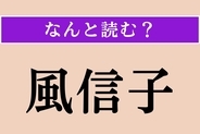 【難読漢字】「風信子」正しい読み方は？ 水栽培でも親しまれる植物です