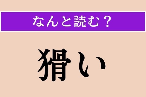 【難読漢字】「猾い」正しい読み方は？ 人に対して使いますが、あまり良い言葉ではありません