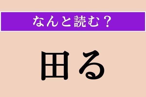 【難読漢字】「諦観」正しい読み方は？ 現実を冷静に見つめ、それを受け入れることを言います